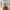 Palm Leaf Hats: The Must-Have Summer Trend for 2025 | Lbora