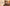 Cowboycore Is Back: Why the Dwight Yoakam Hat Is 2026's Must-Have Accessory