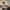 Best Felt Cowboy Hats for Fall 2025