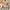 The 5 Best Transitional Hats for Spring 2026: From Chill to Chic by Lbora