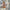 The 5 Best Packable Straw Sun Hats of 2025 for Women by Lbora
