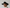 Lbora: Hats as Timeless Statement Pieces for the Modern Fashionista