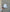 "6x Rancher Silverbelly Cowboy Felt Hat Sinaloa Falda "