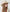 Country lifestyle clothing portrait showcasing a clean natural shade wide brim cowboy hat