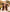 Luxury cruise vacation boutique wear trends showcasing a distinct brown color wide brim straw hat