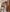 Outdoor ranch wear lifestyle lookbook styled with an earthy brown high crown straw hat