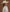 Female model wearing Radiance palm hat for modern ranch look LBORA