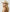 Country ranchwear fashion portrait highlighted by a natural ivory high crown cowboy hat