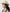 Country ranch aesthetic clothing capsule featuring a natural shade wide brim cowboy hat