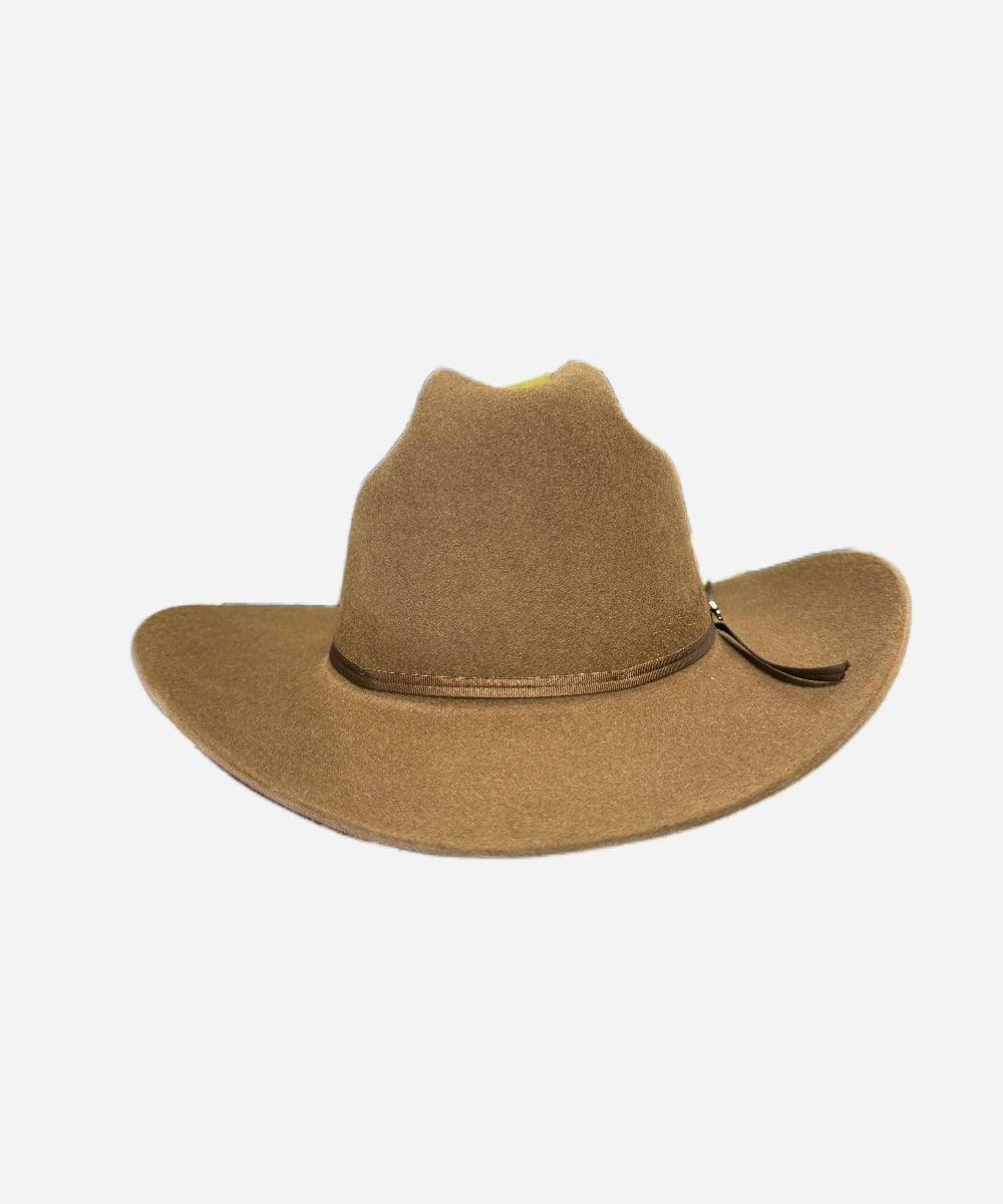 Acorn western hat