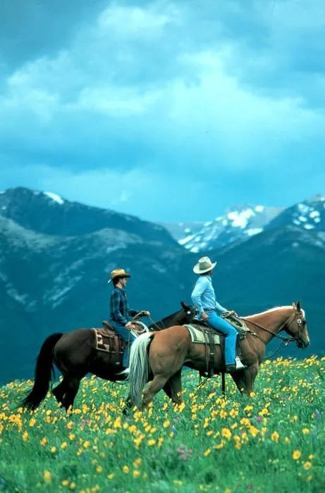 The Horse Whisperer